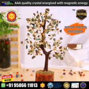 money magnet tree